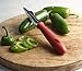 RSVP International Endurance Collection Vegetable Core & Seed Remover, Tomato, Zucchini, Jalapeno Pepper Corer Tool, Dishwasher Safe, 8.25
