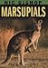 Nic Bishop: Marsupials