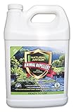 Repellent Spray for Rodents & Animals. Cats, Rats, Squirrels, Mouse & Deer. Repeller & Deterrent for Dogs, Critters, Mice, Raccoon & Skunk. Natural Armor Mint Gallon Ready To Use
