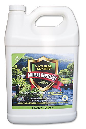 Repellent Spray for Rodents & Animals. Cats, Rats, Squirrels, Mouse & Deer. Repeller & Deterrent for Dogs, Critters, Mice, Raccoon & Skunk. Natural Armor Mint Gallon Ready To Use Repellent Spray for Rodents & Animals. Cats, Rats, Squirrels, Mouse & Deer. Repeller & Deterrent for Dogs, Critters, Mice, Raccoon & Skunk. Natural Armor Mint Gallon Ready To Use
