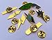 Pokemon Gym Badges: Unova - Gen 5 - Unova League - Ash Ketchum Cosplay Collection (Set of 8 Badges)