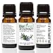 BioFinest Rosemary Oil - 100% Pure Rosemary Essential Oil - Therapeutic Grade - Australia Premium Quality - Best For Aromatherapy, Aches & Pains, Hair & Dandruff - FREE E-Book (10ml)