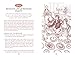 The Jane Austen Handbook: Proper Life Skills from Regency England