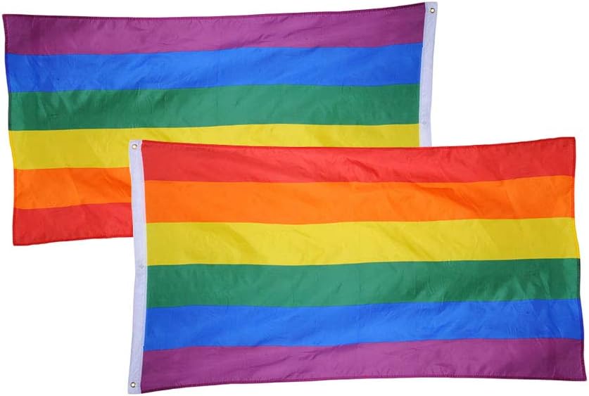 Bandiera Lesbica Lgbt - Immagini Vettoriali Stock E Altre Immagini Di - Foto 6