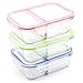 RENPHO [3-Pack, 36oz] Glass Meal Prep Containers 2 Compartment - Glass Bento Box Glass Compartment Food Containers with Airtight Lids Divided Glass Lunch Containers - Microwave,Oven,Dishwasher Safe