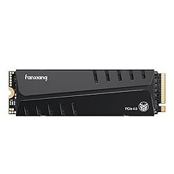 fanxiang S770 1TB NVMe M.2 SSD for PS5 - with