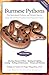 Burmese Pythons: Plus Reticulated Pythons And Related Species (Herpetocultural Library)