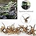 Tfwadmx Aquarium Driftwood Natural Wood Trunk Branch Reptile Driftwood Tree Aquarium Fish Tank Plant Stump Ornament Decor 4 PCSthumb 4