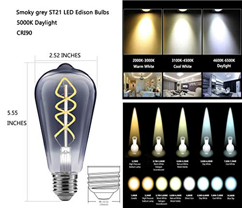 FLSNT Vintage LED Edison Light Bulbs,5000K Daylight,4.5W(40W Equivalent),Dimmable,ST21/ST64,E26 Base,160LM,CRI90,Smoky Grey Glass Finishing,6 Pack (White Lighting,Not Grey)