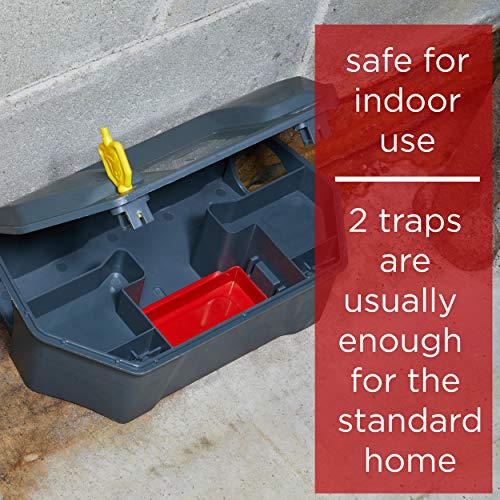 1 Station+Rodent+Eliminates+Fast+Children