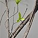 Hamiledyi 4 Pcs Flexible Bend A Branch Jungle Vines Terrarium Leaves Lizard Gecko Habitat Tank Decor for Frogs Snakes and More Reptiles