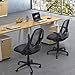 Ergousit Mid-Back Mesh Office Chair, Ergonomic Desk Chairs Swivel Computer Task Chairs with Adjustable Height and Flip-up Armrest - Lumbar Support and Sponge Cushion in Black (Black)
