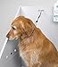 Top Performance Cable Grooming Loop - Ultra-Tough and Durable Loops to Safely Secure Dogs on Tabletops While Grooming, 19