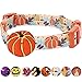 Blueberry Pet Fall Dog Collar, Small Dog Collar for Female & Male Dogs, Extra Small Dog Collar with Pumpkin Décor, Adjustable for Neck 12