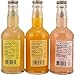 Fentimans Summer Flavored Soda Collection - Pack of 6