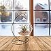10L0L Charming Clear Hanging Glass Ball Vase Air Plant Terrarium Kit/Succulent Flowerpot Container w/Black Metal Stand (Big)
