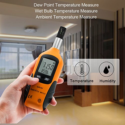 ERAY Digital Psychrometer Hygrometer Thermometer, Temperature and