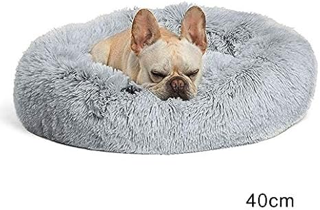 pawthread dog bed