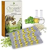 Oreganic Plus Mastic - Oregano Essential Oil