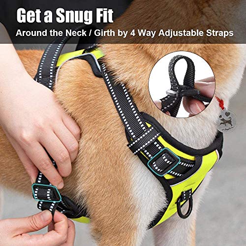 PoyPet No Pull Dog Harness, Reflective Vest Harness with 2 Leash