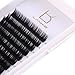 Eyelash Extensions B C D Curl 0.15mm Mixed Tray Volume Lash Extensions Individual False Eyelashes Extensions Salon Perfect Use by LANKIZ