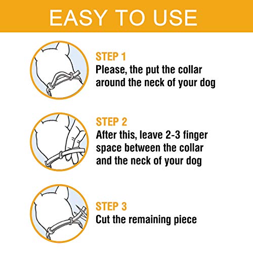 Flea and Tick Prevention Collar for Dogs 1 Year Protection Control Safe & Hypoallergenic & Waterproof & Adjustable Size 25 Inches Fits Most Dog - Thumbnail 4