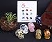 JIC Gem 5pcs Healing Crystal Quratz Hand Carved Human Skulls Pocket Statue Figurine Decor Energy Reiki Gemstones 1.5