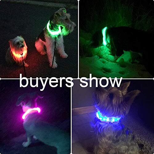 Illumifun Led Dog Collar, USB Rechargeable TPU Cuttable Light Up Collar Make Your Dogs Seen & Safe in the Dark (Candy Pink)