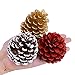 Supla 30 Pcs Assorted Natural Pine Cones Frosted Gold Red Pine Cones Ornaments Dried Real Preserved Pine Cones 2
