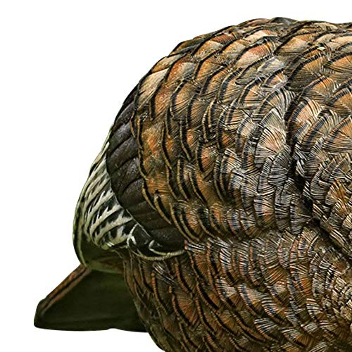 AvianX Feeder Hen Turkey Decoy, Lifelike Collapsible Decoy With Carbon