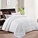MEROUS Queen Comforter - Soft Quilted Down Alternative Duvet Insert with Corner Tabs,Summer Fluffy Reversible Hotel Collection Comforter - White,88x88 inch (White, 88x88 inch)