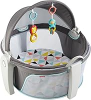 Fisher-Price On-The-Go Baby Dome, Gray and White