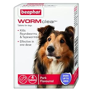 Beaphar-WORMclear-Tablets-for-Large-Dogs Beaphar | WORMclear® Tablets for Dogs up to 40kg | Kills All Common UK Intestinal Worms (Roundworms & Tapeworms) | Vet…