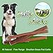 GigaBite by Best Pet Supplies - USDA & FDA Certified Odor-Free Value Pack Plain Beef Bully Sticks for Dogs - 100% All Natural Free Range Beef Pizzle- Healthy Dental Teeth Cleaning Dog Chews- Best Chewy Pet Treats (1 Pound Bag, 6 Inch)