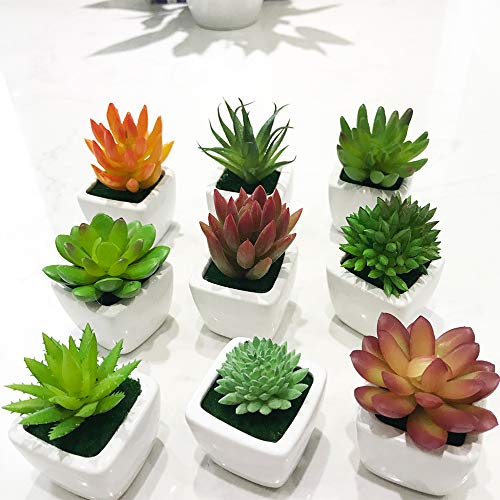 Set Of 2 Mini Faux Succulent Plants In Pots - Small Artificial Greenery For Home Decor