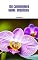 Livro 100 curiosidades sobre orquídeas