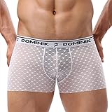 Dominik Men's Sheer Mesh See-Through Boxer Trunks