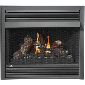 Amazon.com: Empire Comfort Systems Premium 36" Direct-Vent ...