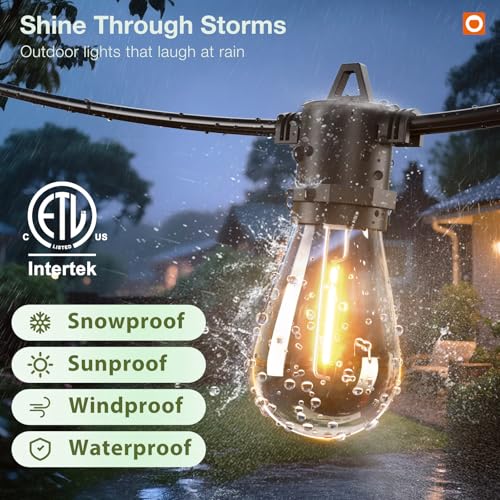 addlon 100FT Outdoor String Lights LED with Remote Dimmable Waterproof | Timer & 3 Lighting Modes, Shatterproof Edison Bulbs, Connectable Hanging Strand for Patio Outside Backyard Porch Party Décor