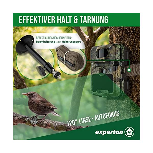 Expertan® Wildtierkamera in Tarnfarbe – 1080P HD Wildkamera mit Video & Bildaufzeichnung - Nachtsichtkamera mit… – Bild 6