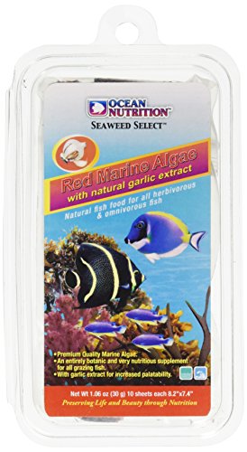 Ocean Nutrition Food Morning Algae, 20g, Red