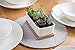 StarPack Premium Small White Ceramic Succulent Planter Pot with Bamboo Base