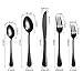 Nice Kitchen 20-piece Flatware Cutlery Set Stainless Steel Silverware Metal Utensils Group Serves 4, Matte Black(20pcs)