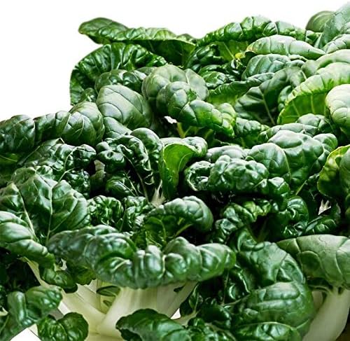 Bok Choy Pak Pok Choi Seed Pod Kit for AeroGarden (7-Pod)