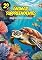 Livro Animais Surpreendentes 2: Fatos Divertidos e Curiosos (Coleção Animais Surpreendentes)