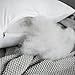 MIULEE Pack of 2, Decorative Pillow Insert Polyester Cotton Indoor White Adjustable Throw Pillows for Sofa Bed 18