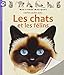 Cache-cache avec les chats et les félins by 