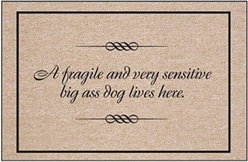 homelover(TM) Fragile And Sensitive Dog Indoor/Outdoor Doormat Home Floor Mats Rugs 23.6 X 15.7 Inches
