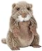 Webkinz Prairie Dog