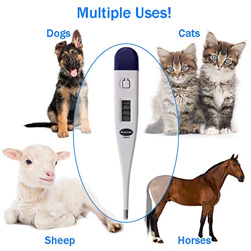 Brannan Digital Vets Thermometer for Pet Owners of Dogs Cats Horses Animals with Free Veterinary Hobday's Spec Chart